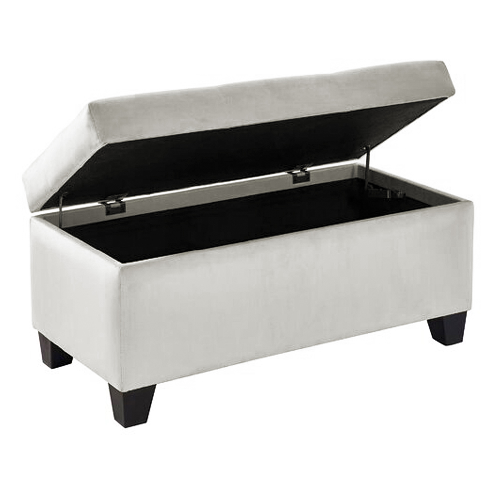 plata 0000311(1)
