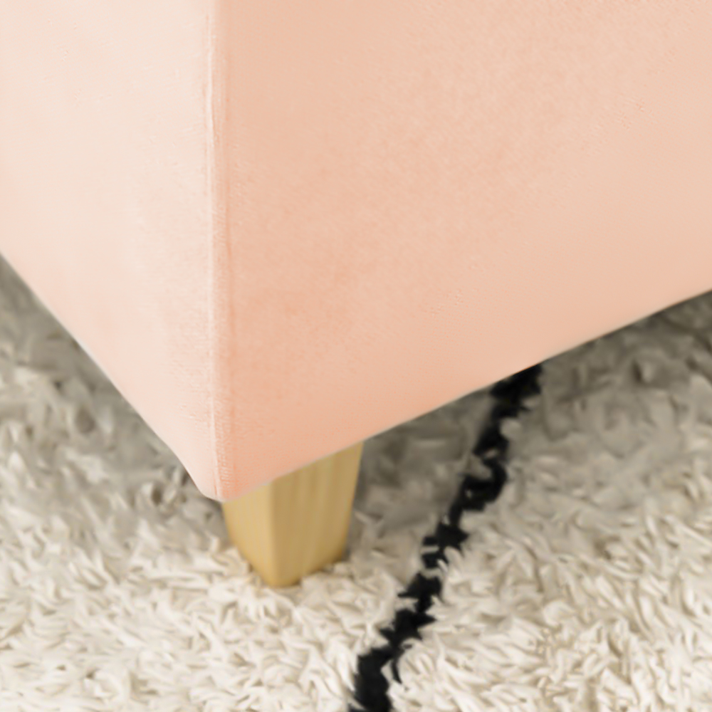 rosa viejo 0001511(4)